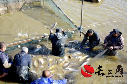 品传统年俗醇厚滋味 扬文化丰年时代新韵