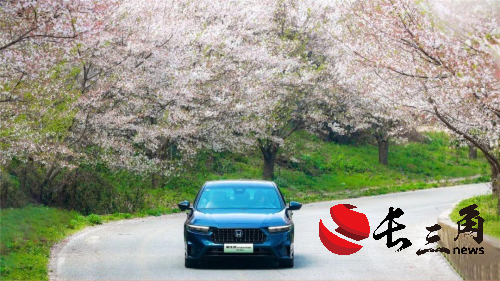 花有约春不误 全新英仕派带你开启春日有品出游