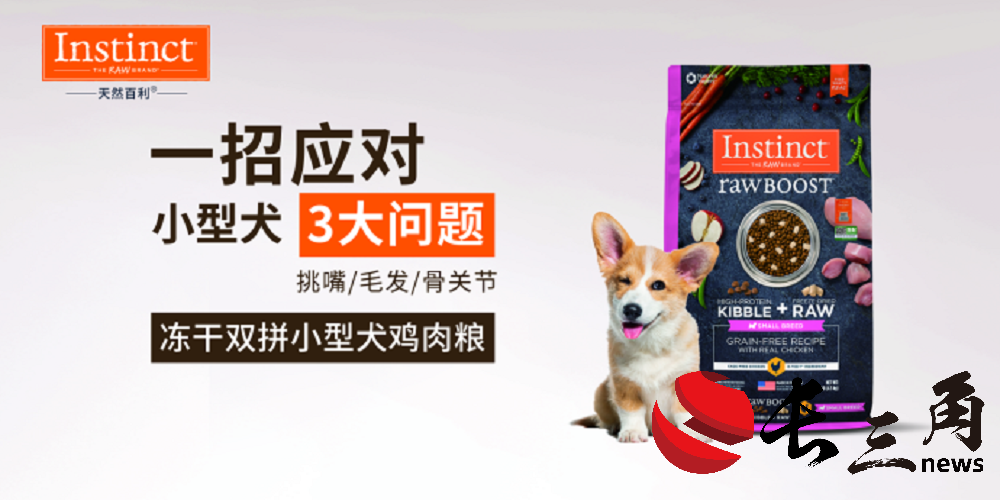 芭比“可爱”全场，首届京沪联动柴犬春游会如期举行！