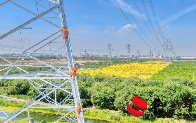 大电网稳定评估及决策技术实现突破
