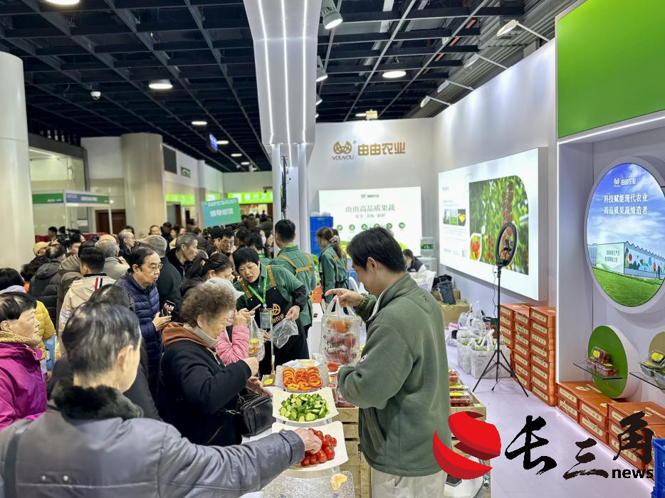 展会3