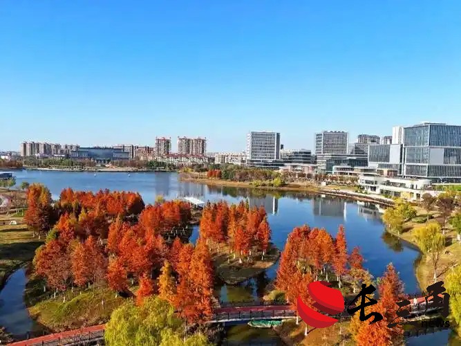 2024年生态环境质量改善指标顺利完成年度目标