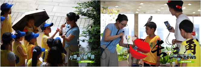 https://img2.danews.cc/upload/ajax/20250805/1ab2e4f7bde61e88ac53eb067235725b.png
