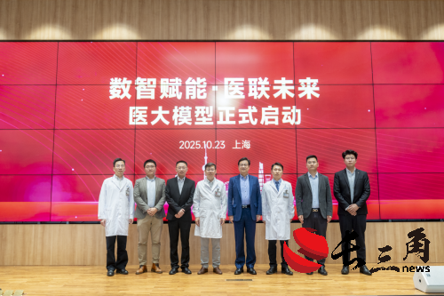 AI医疗迈向“深度赋能”，上海医大医院联合产学研发布“医大模型”