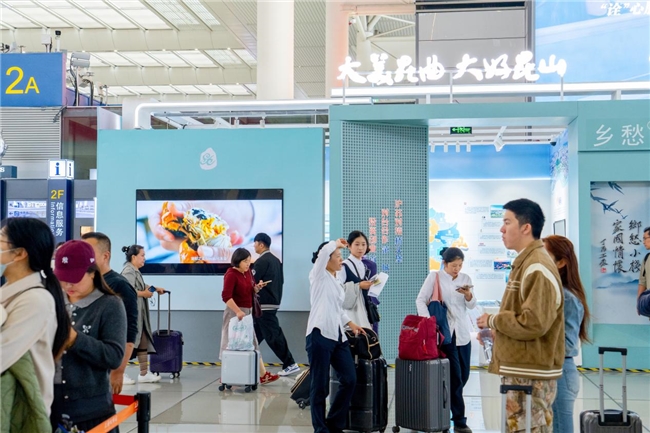 一棒接一棒 精彩不重样 进博会期间昆山各地组团亮相上海虹桥