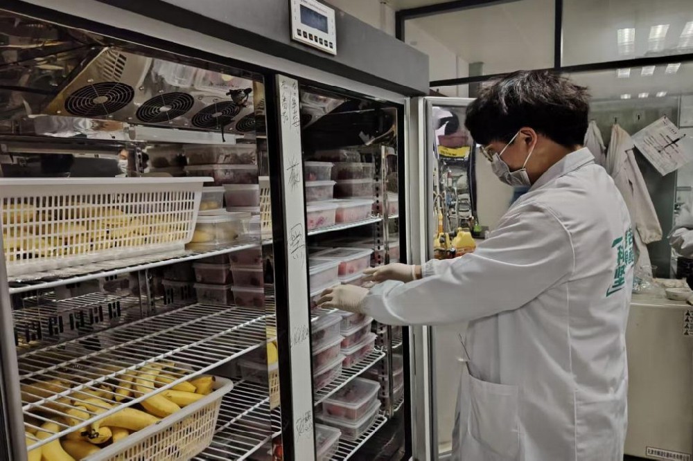 名师点火，青年接力：记刘长虹教授指导“鲜盛久安”团队在智慧包装领域的跨越式创新