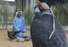 阿布扎比举办地区最大的狩猎、马术和遗产保护