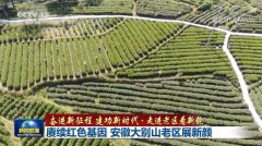 【奋进新征程 建功新时代·走进老区看新貌】赓