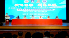 浙江省第二十届“大经·宜和杯”大学生结构设计