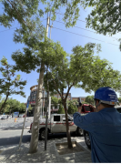 利通区公司：应用“网上电网”系统 积极备战高