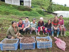 中国土豆在尼泊尔开花结薯——西藏农科院专家