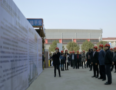 奉贤区领导调研派米雷南桥都市产业园