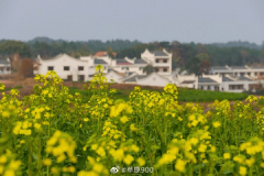 不过圣诞节的这座湘南小城，把中国传承千年的