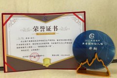 首届中国新客服节 平安金服一举斩获五项大奖