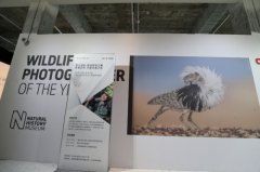 工行上海分行工银瑞信举办第58届WPY获奖作品巡展
