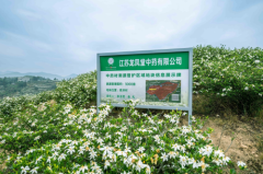 产业活水进家门，扬子江药业集团送来乡村振兴