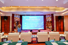 西南科技大学主办的新能源与储能系统会议（N